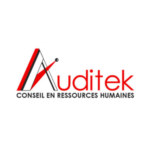 Logo Auditek